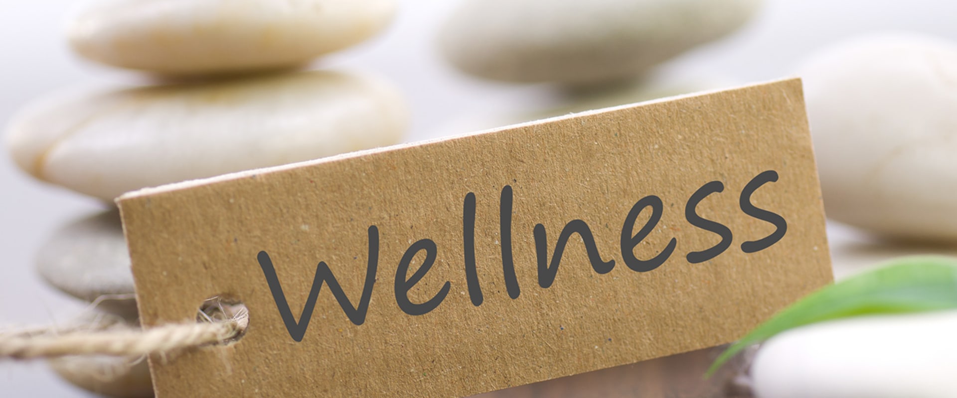 What are the 8 areas of personal wellness?