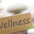What are the 8 areas of personal wellness?